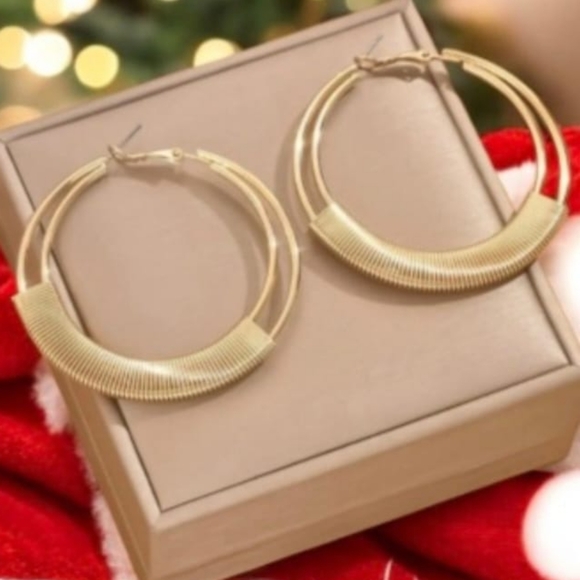 Minimalist Double Layer Hoop Earrings for Women, Iron Material, Suitable for Par - Picture 5 of 5